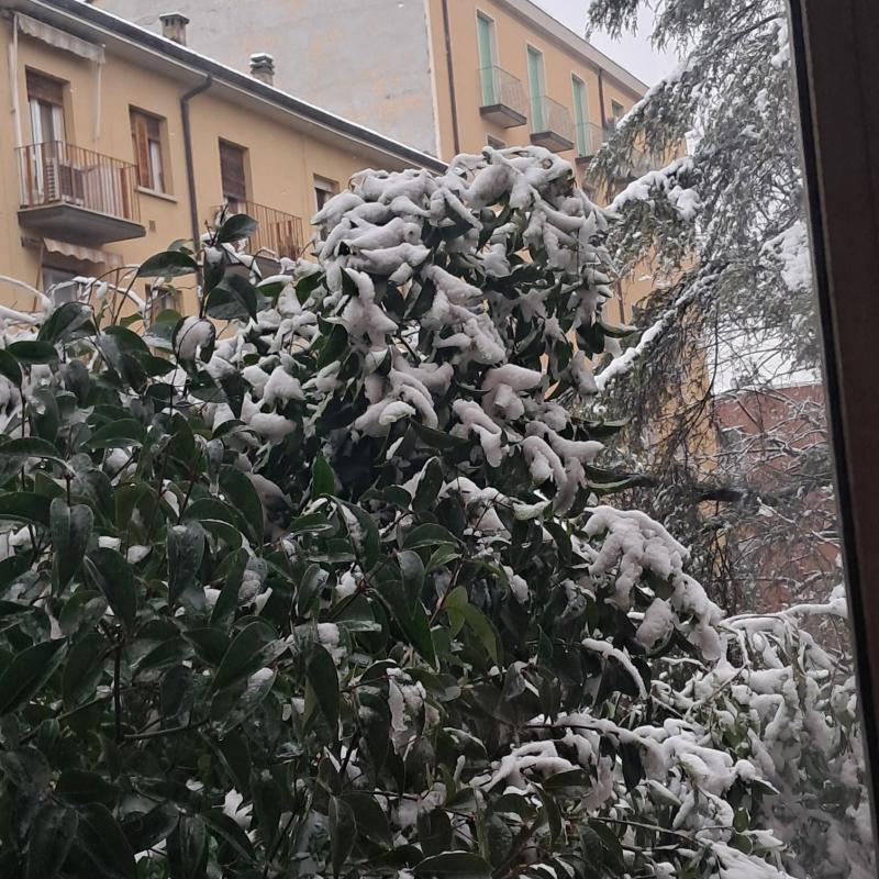 Fotosegnalazione di Bologna santo stefano