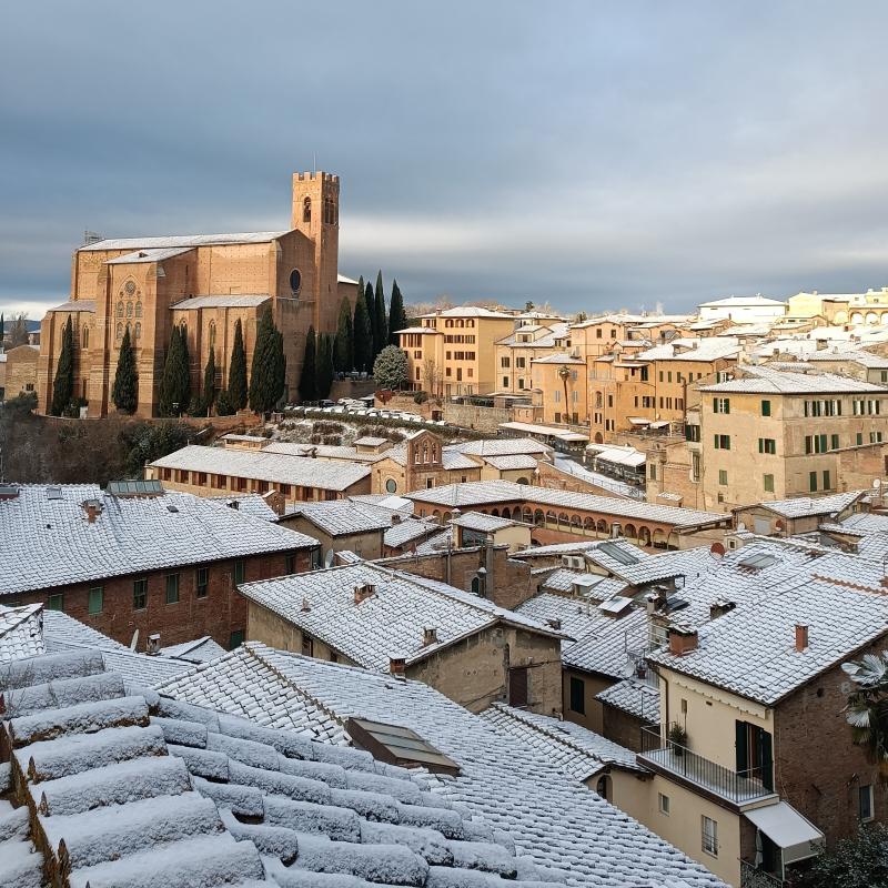 Fotosegnalazione di Siena centro storico