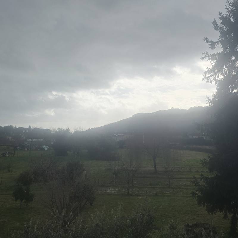 Fotosegnalazione di Ameglia