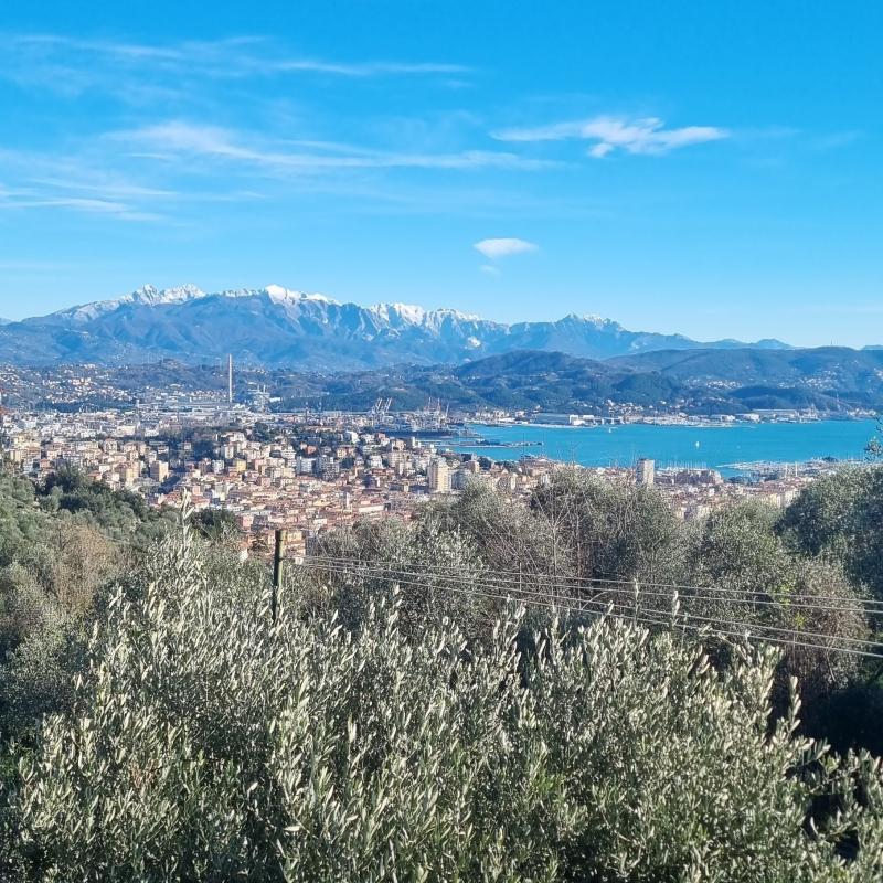 Fotosegnalazione di La spezia ovest