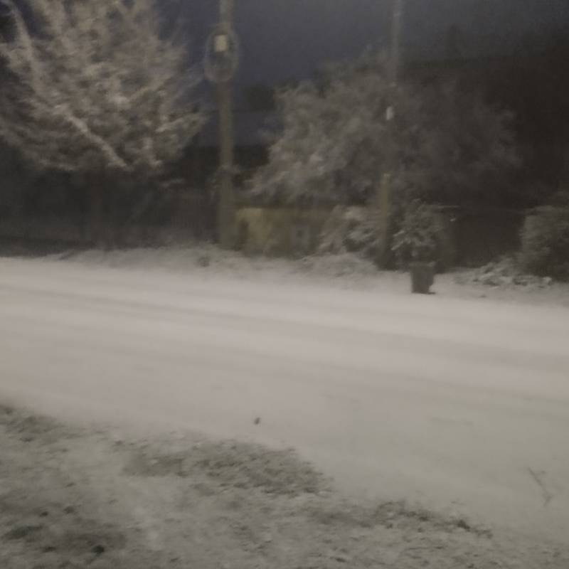 nebbia ghiacciata o neve