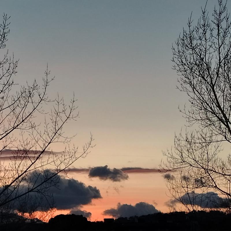 Fotosegnalazione di Tolentino