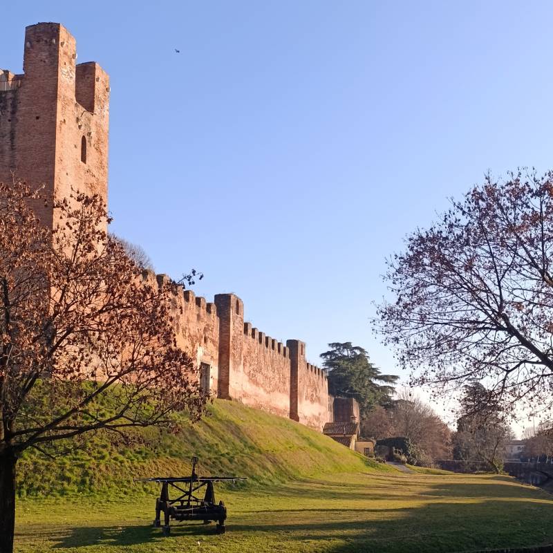 Fotosegnalazione di Castelfranco veneto