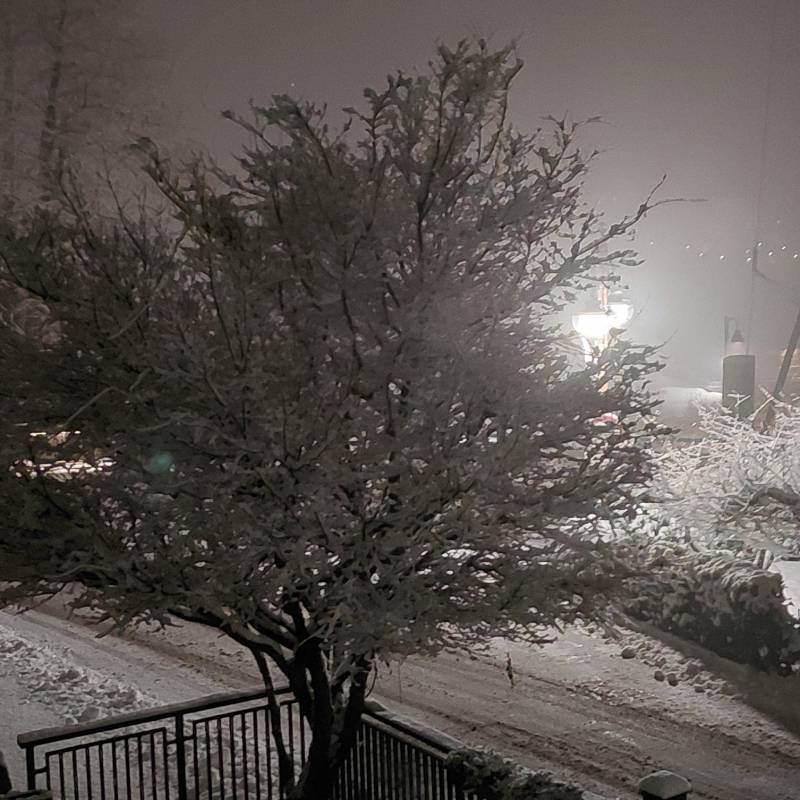 Poca neve 24 01 2025