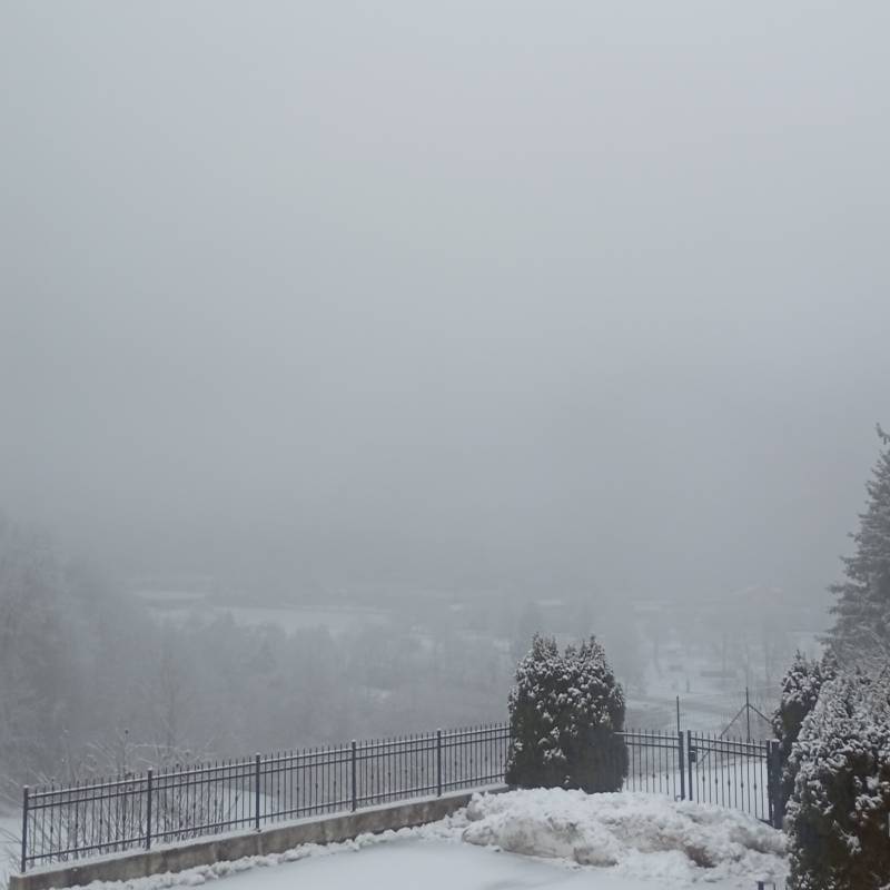 Fotosegnalazione di Tione di trento