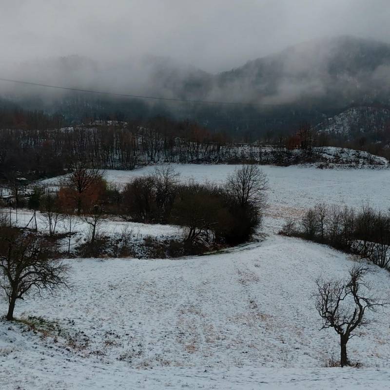 nevicata 28 gennaio 2026