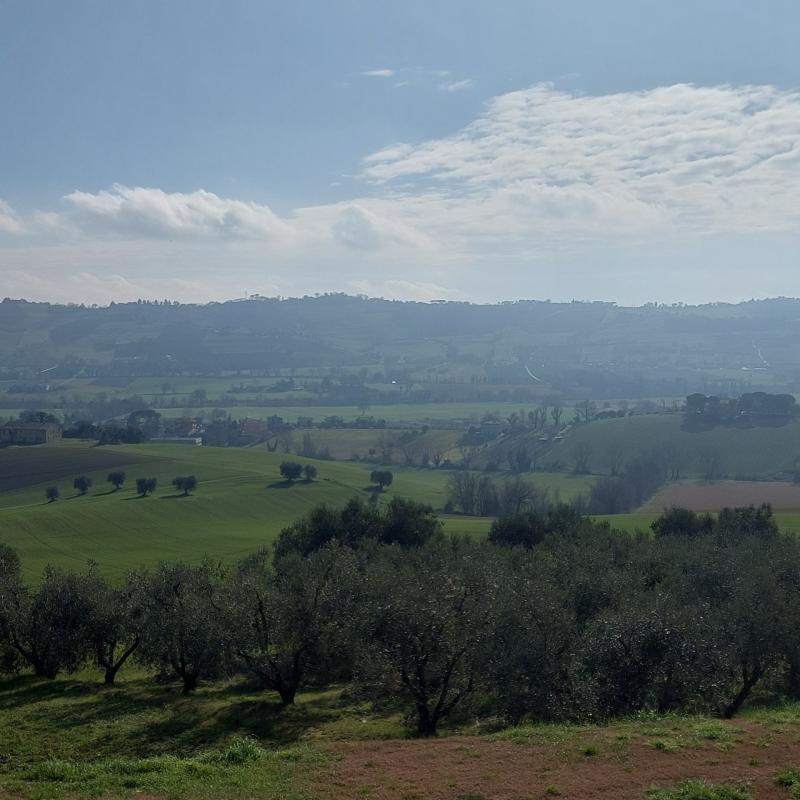 Fotosegnalazione di Monte porzio