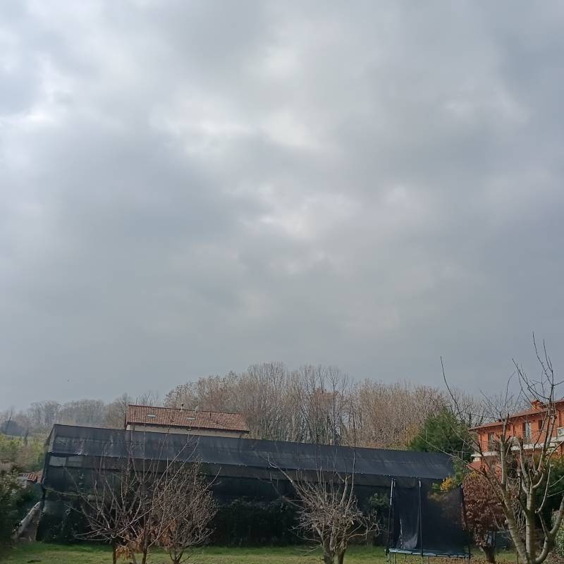 Fotosegnalazione di Orsenigo