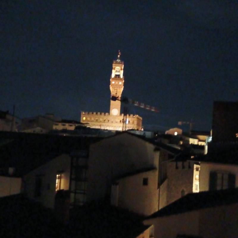 Fotosegnalazione di Firenze centro storico