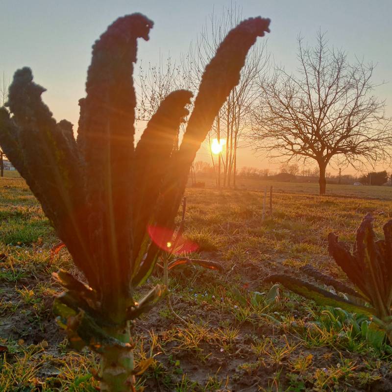 Fotosegnalazione di Villanova di camposampiero