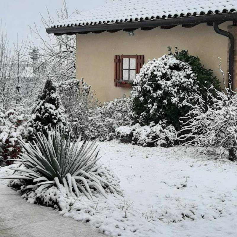 Fotosegnalazione di Casorzo