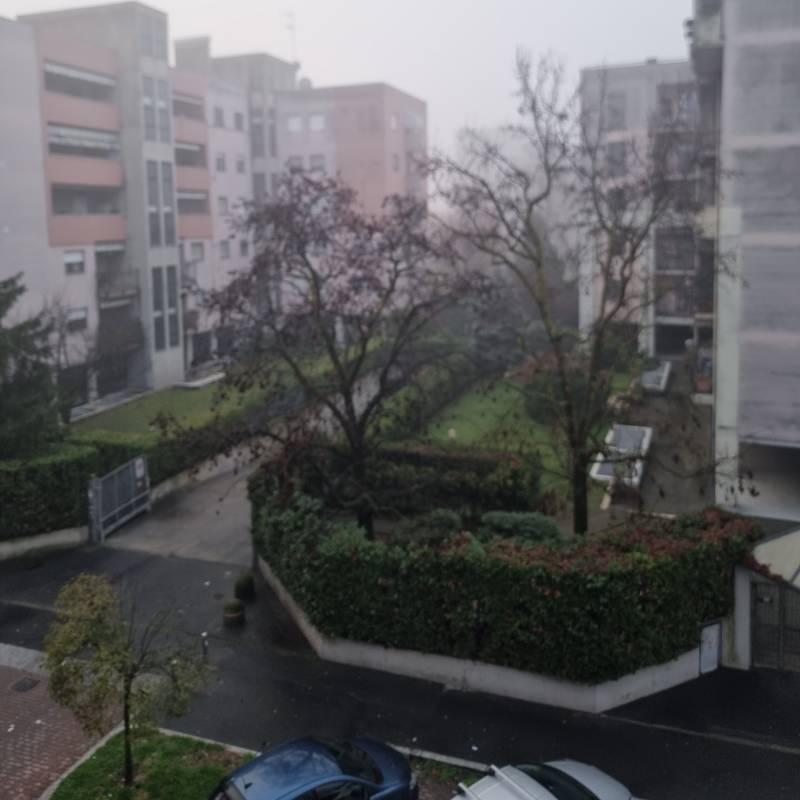 Fotosegnalazione di Milano barona