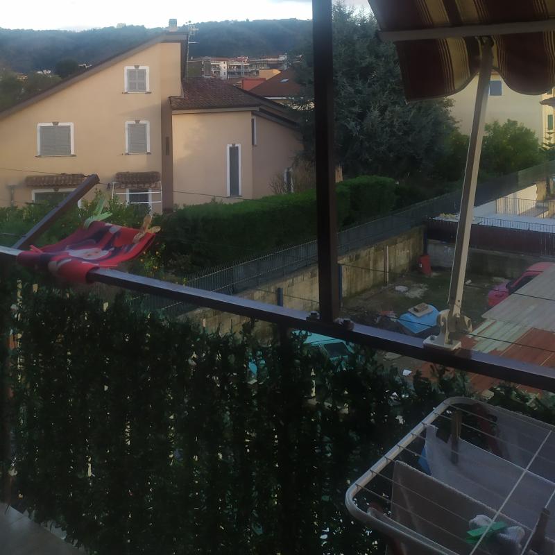 Fotosegnalazione di Quarto