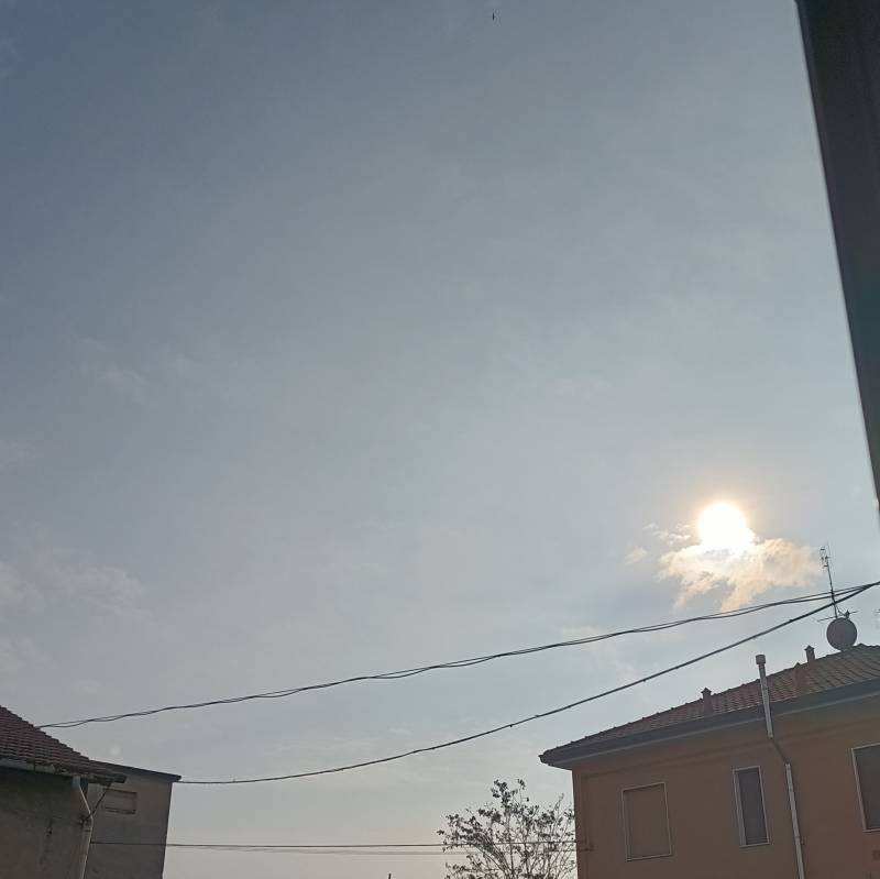 Fotosegnalazione di Sedriano