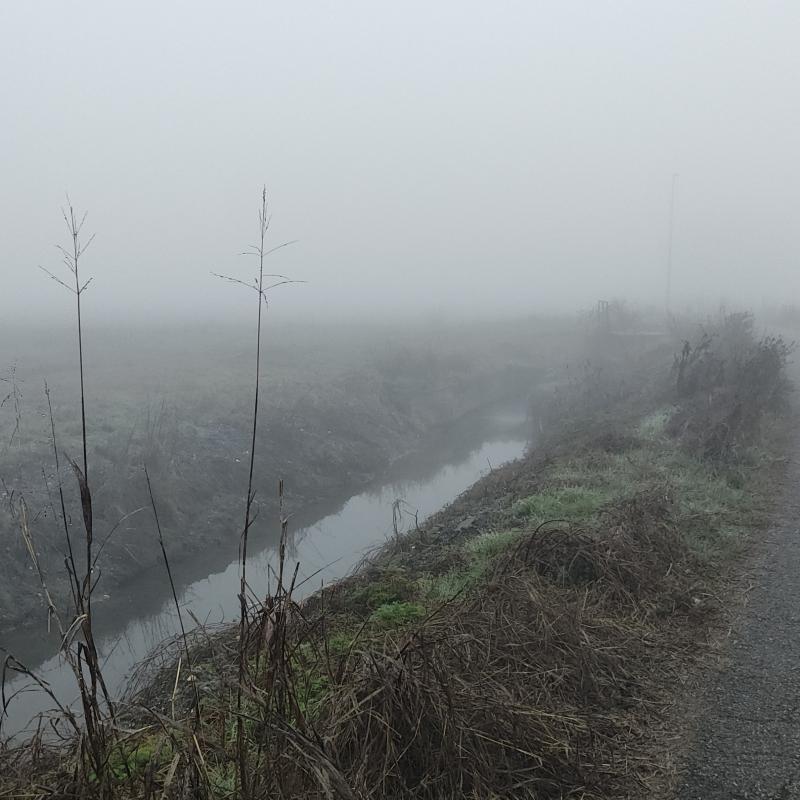 Fotosegnalazione di San giuliano milanese