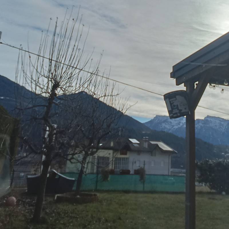 Fotosegnalazione di Pergine valsugana