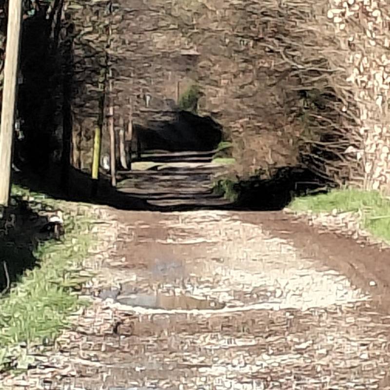 Serenissimo su strade bianche a montebello .foto di sergio