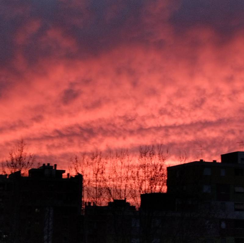 Fotosegnalazione di Pomezia