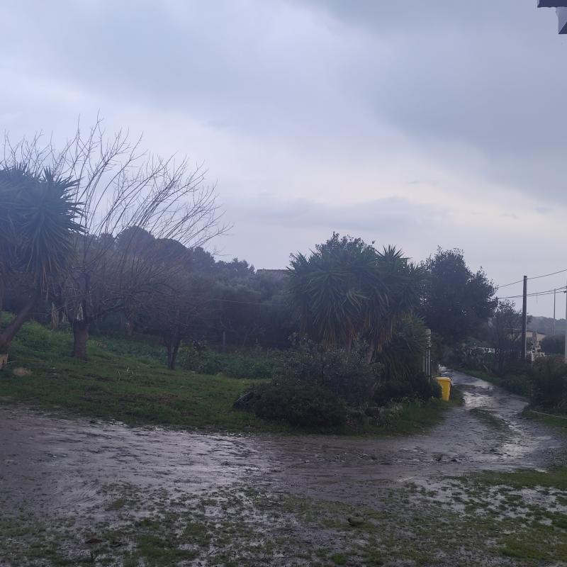 Fotosegnalazione di Trebisacce