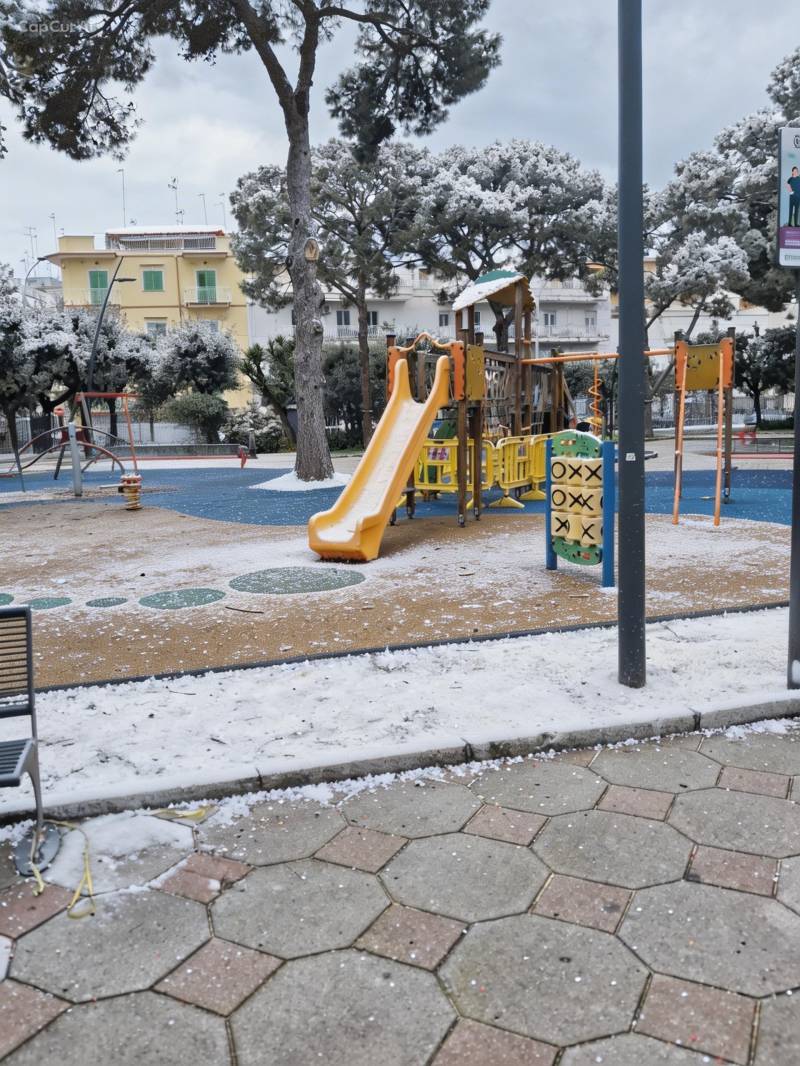 Arriva la neve a Giovinazzo 15 febbraio 2026 le foto