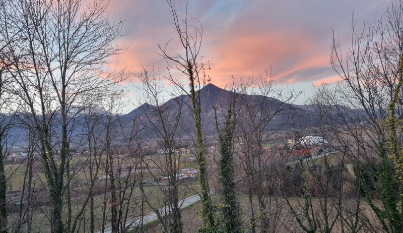 musin in rosso