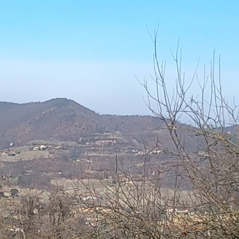Fotosegnalazione di Vesime
