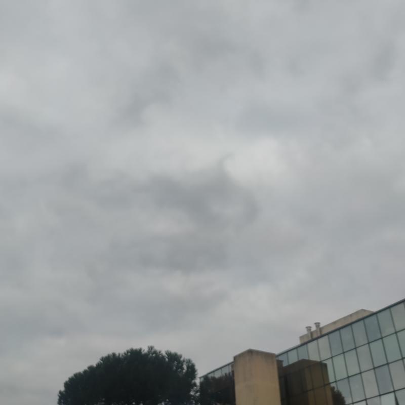 Fotosegnalazione di Roma torre maura