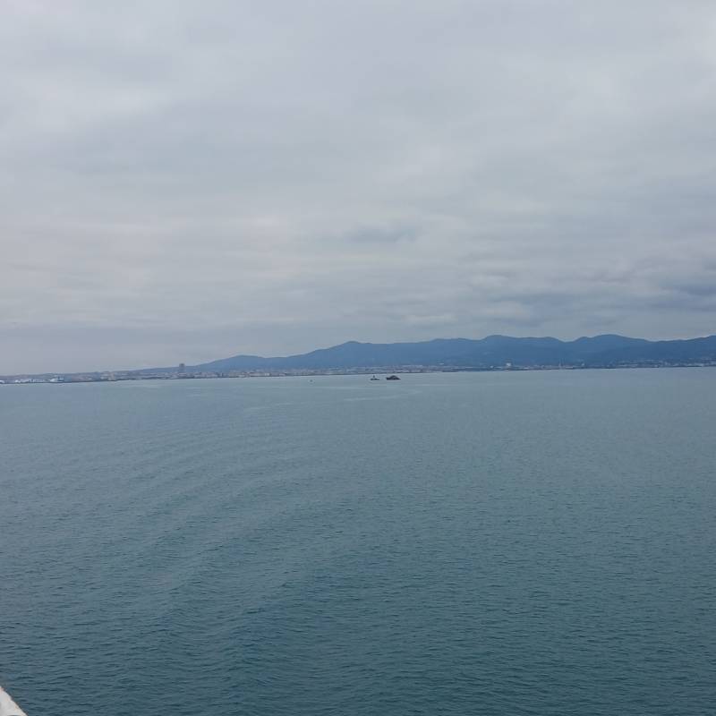 Fotosegnalazione di Livorno borgo - san jacopo