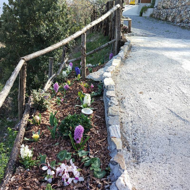 primavera alle porte