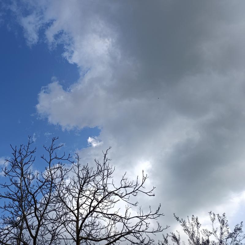 Fotosegnalazione di Caltanissetta periferia ovest
