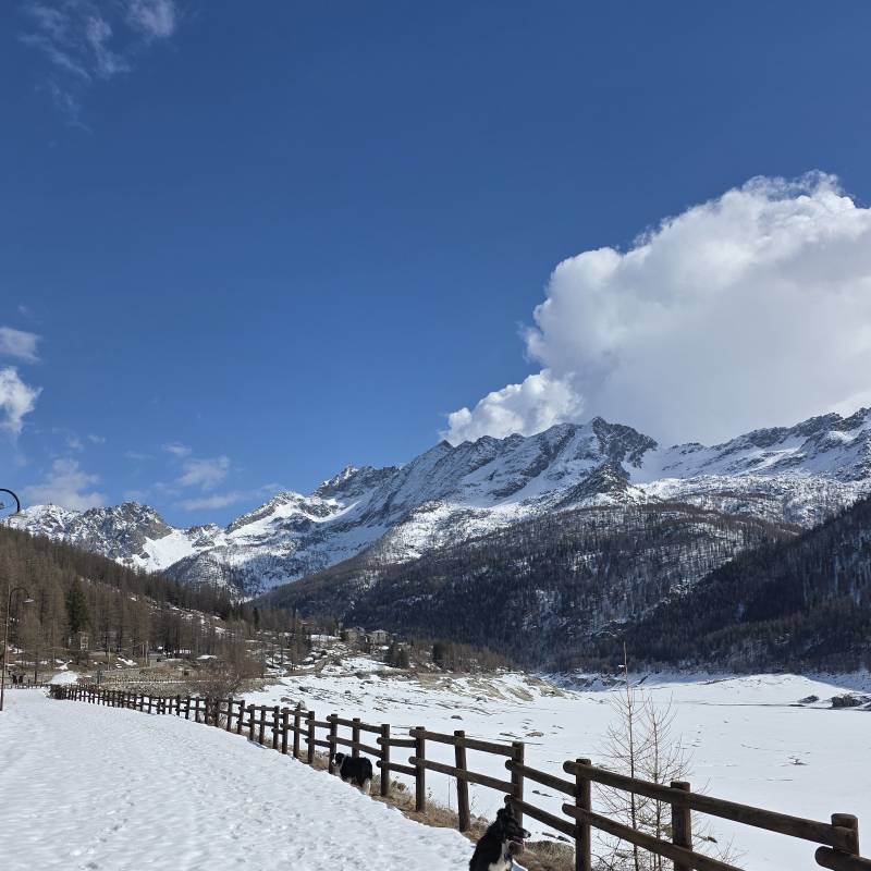 Fotosegnalazione di Ceresole reale