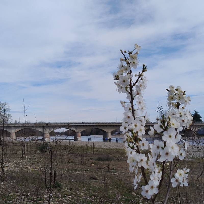 Fotosegnalazione di Spilamberto