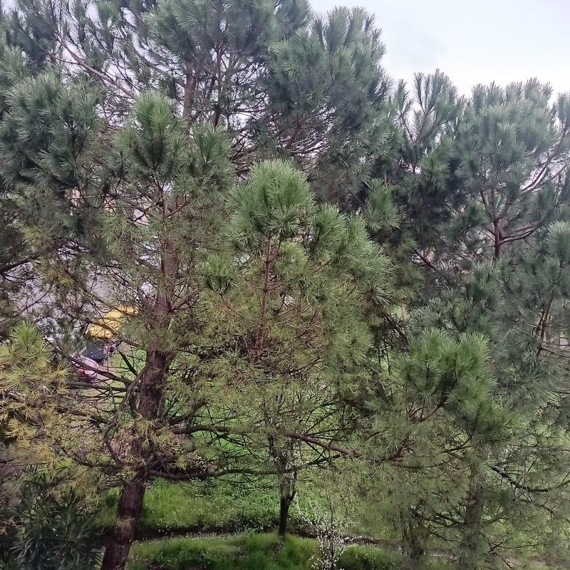 Fotosegnalazione di Tortona