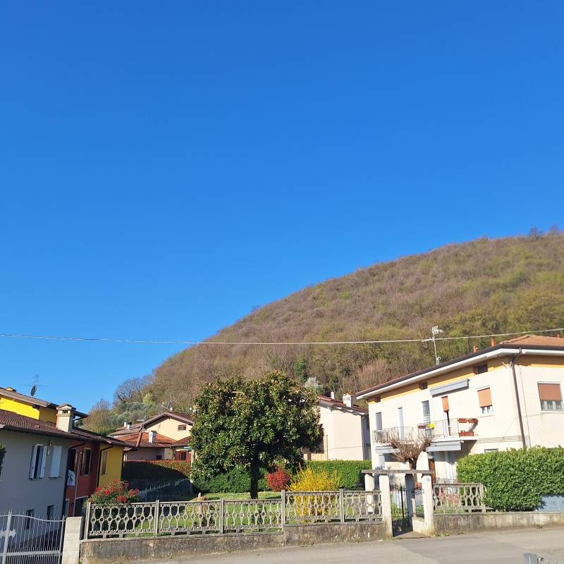 Fotosegnalazione di Monticelli brusati