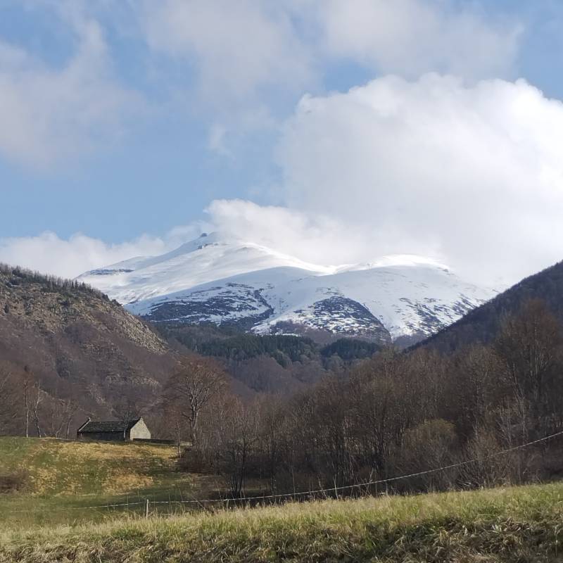 Monte cimone