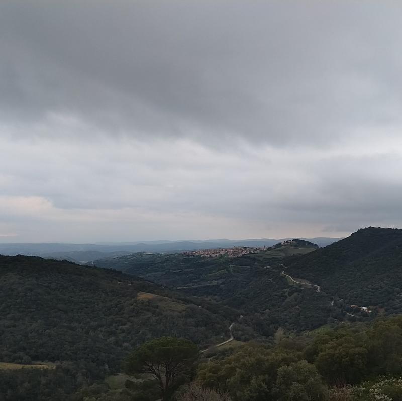 Fotosegnalazione di Meana sardo