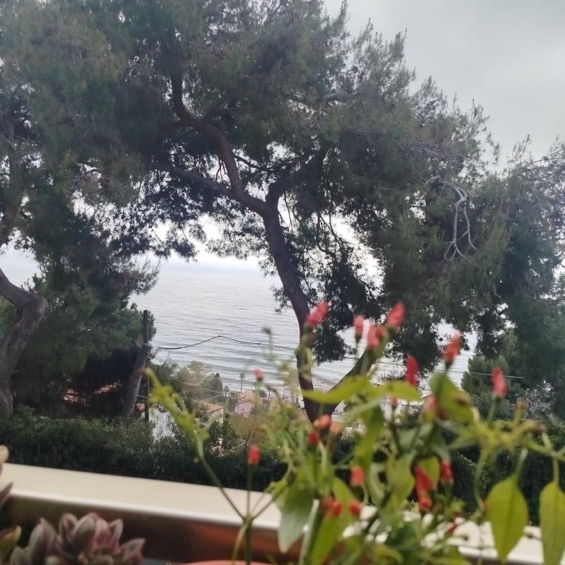 Fotosegnalazione di Sanremo