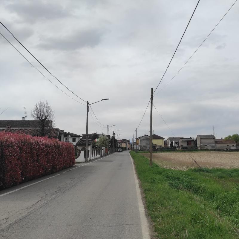 Fotosegnalazione di Zerbo