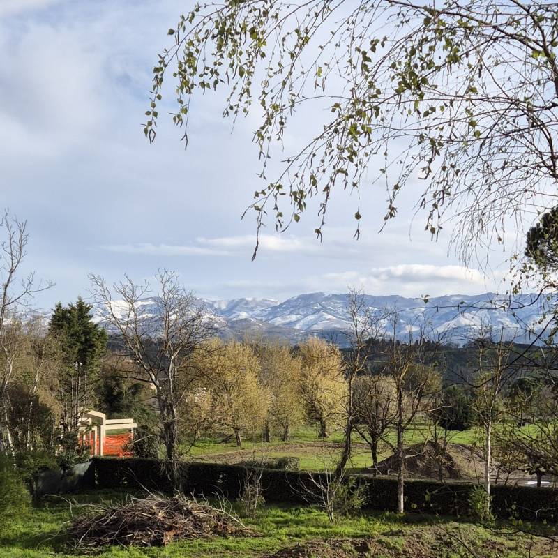 Fotosegnalazione di Montevarchi
