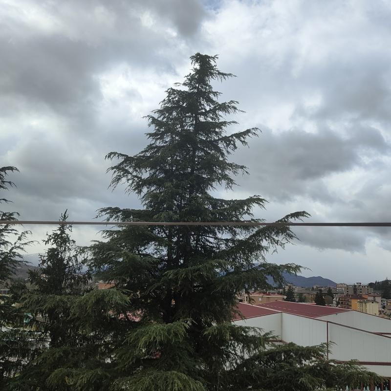 Fotosegnalazione di L'aquila ovest