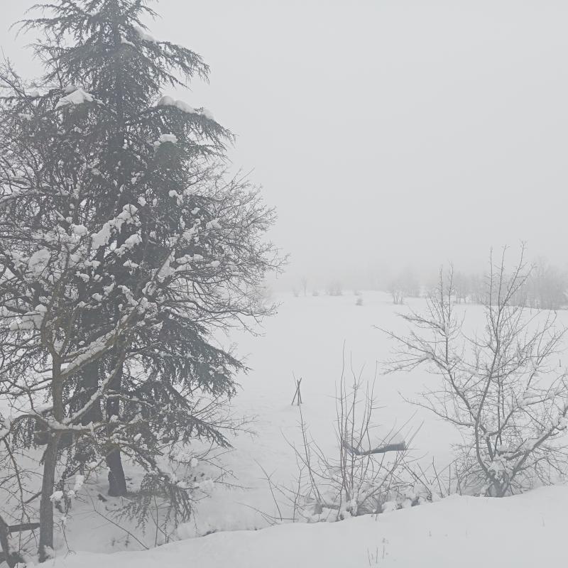 Fotosegnalazione di Caramanico terme