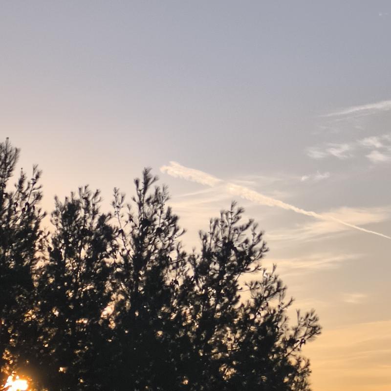 Fotosegnalazione di Foggia centro urbano