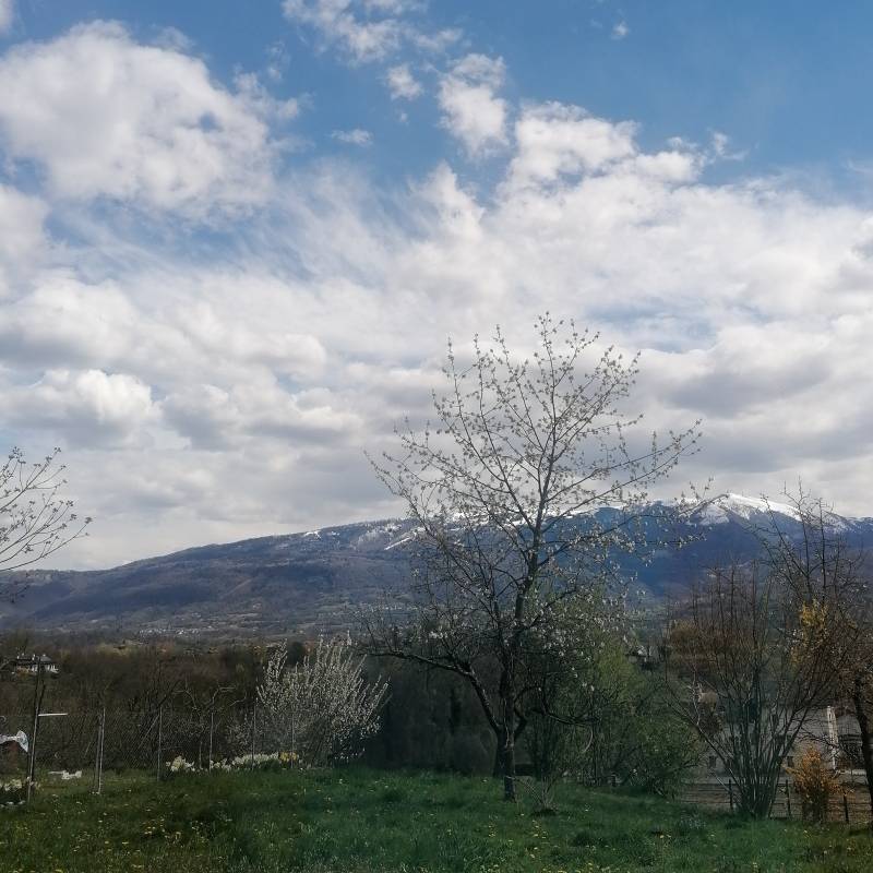 Fotosegnalazione di Belluno periferia ovest