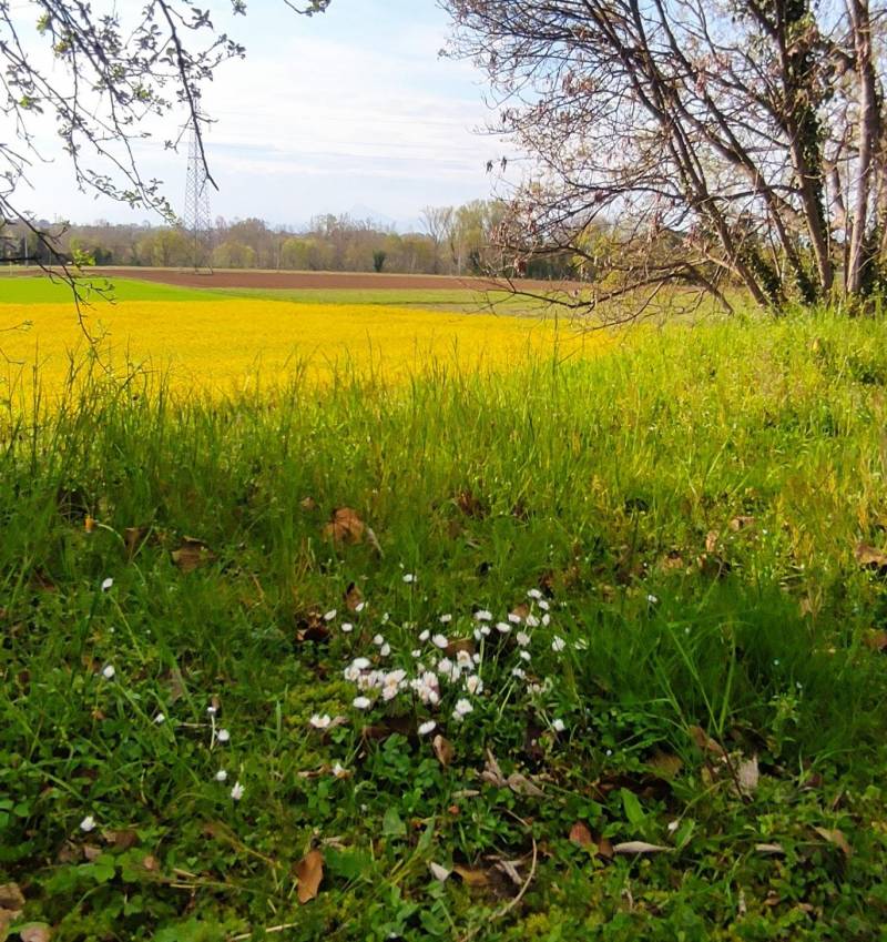 serena pasqua a tutti voi 3bmeteo. i miei attimi speciali adry