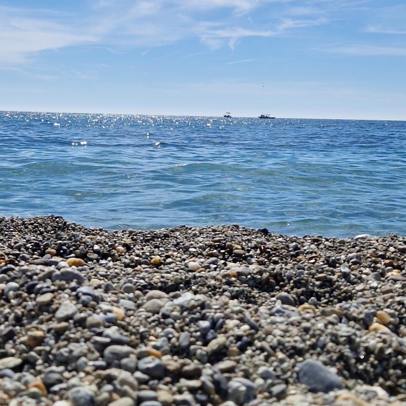 Fotosegnalazione di Monterosso al mare