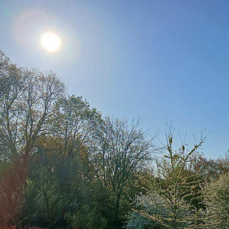Parco acque chiare