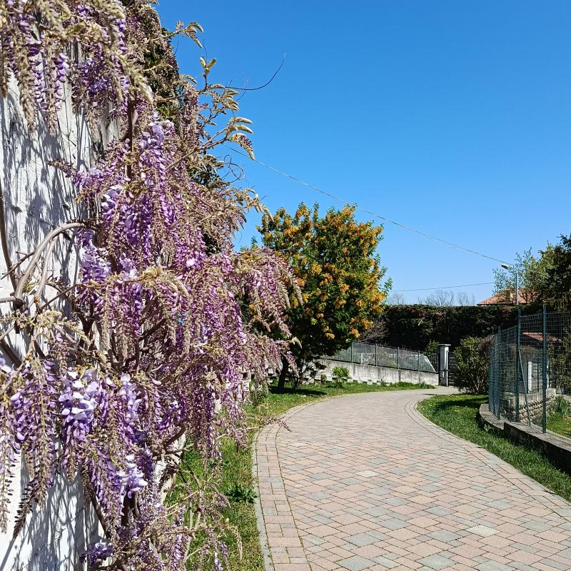 Fotosegnalazione di Giaveno