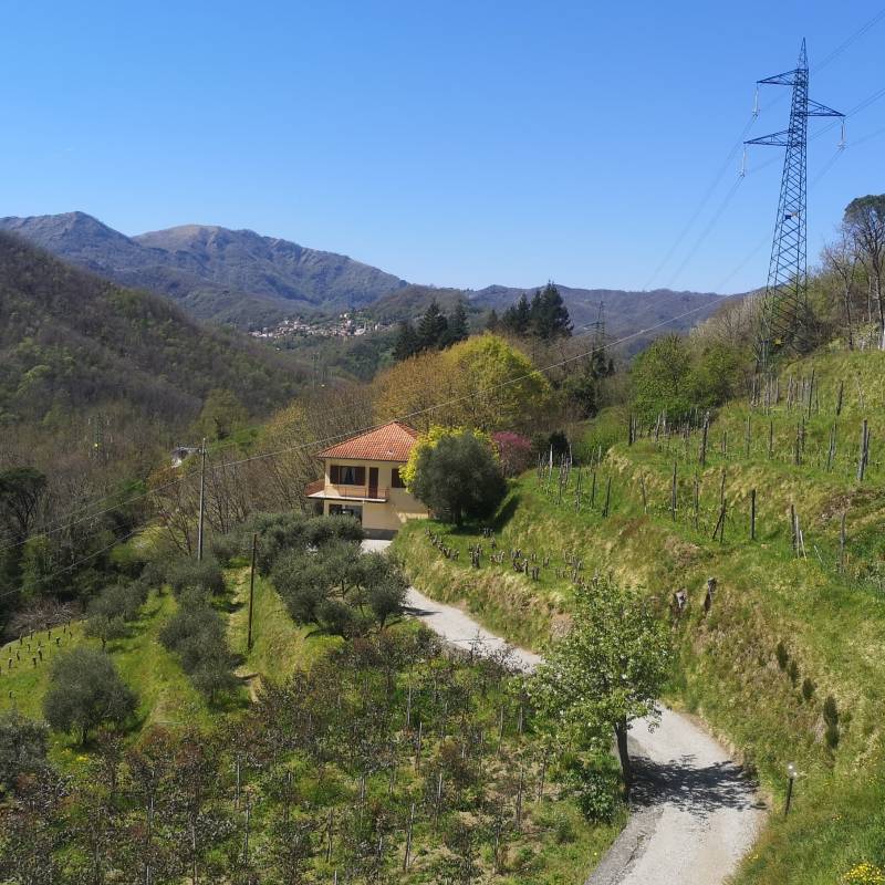 Fotosegnalazione di Neirone