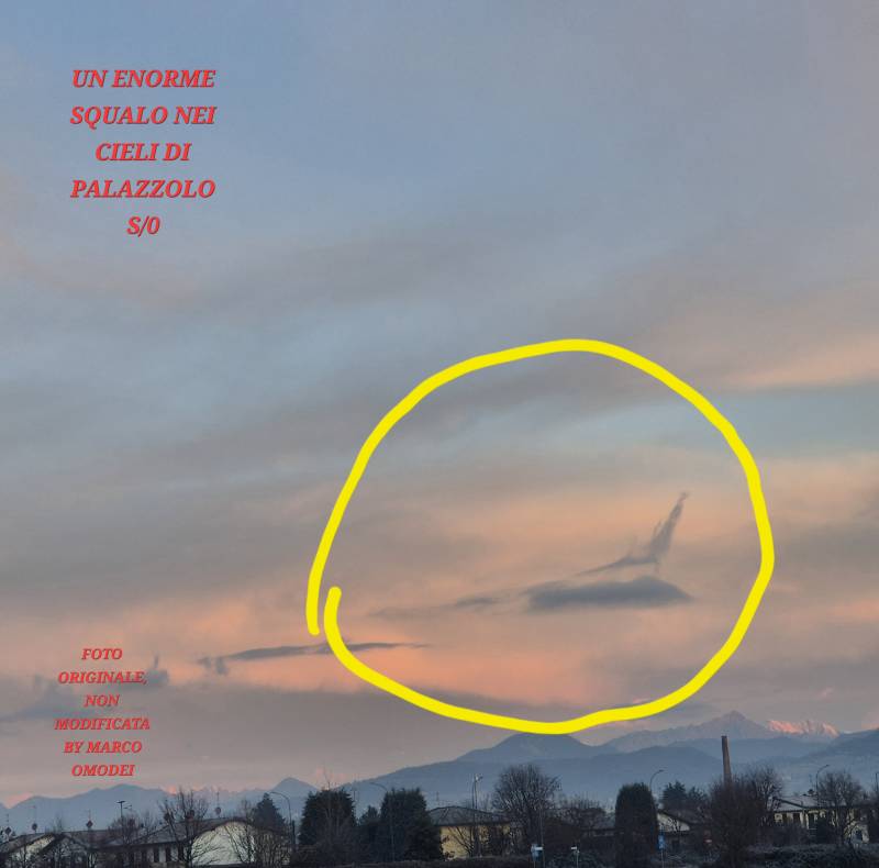 un enorme squalo nei cieli di palazzolo so