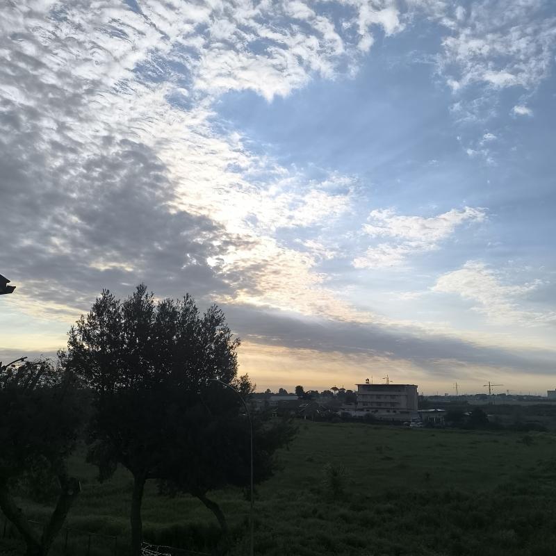 Fotosegnalazione di Foggia centro urbano